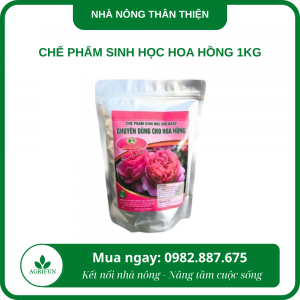 Chế phẩm sinh học hoa hồng