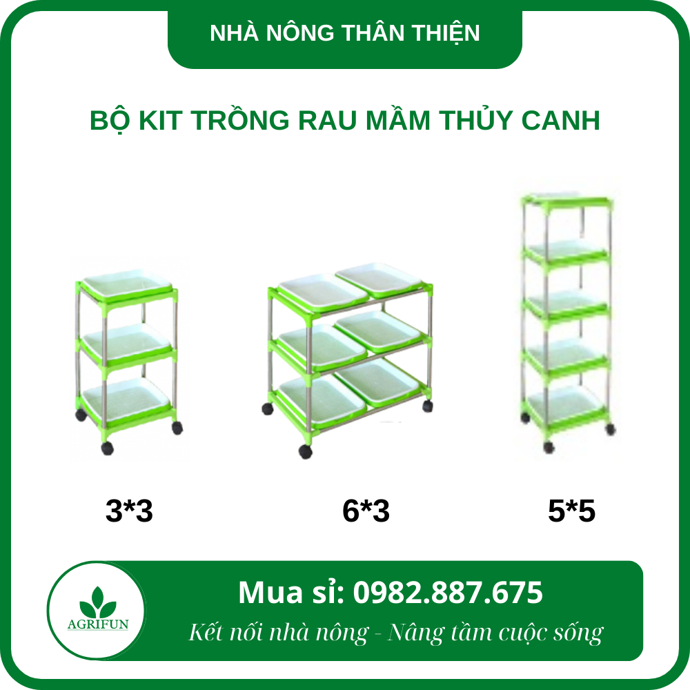 bo-kit-trong-rau-mam-thuy-canh