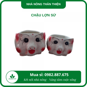 Chậu lợn sứ