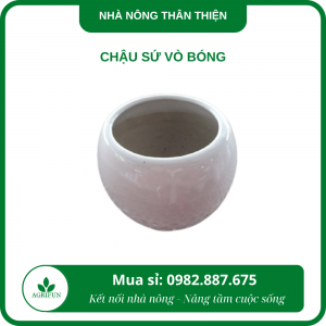 Chậu sứ vò bóng