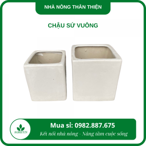 Chậu sứ vuông