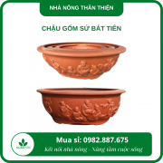 chậu gốm sứ bát tiên