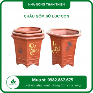 chậu gốm sứ lục con