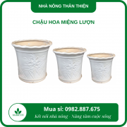 chậu hoa miệng lượn