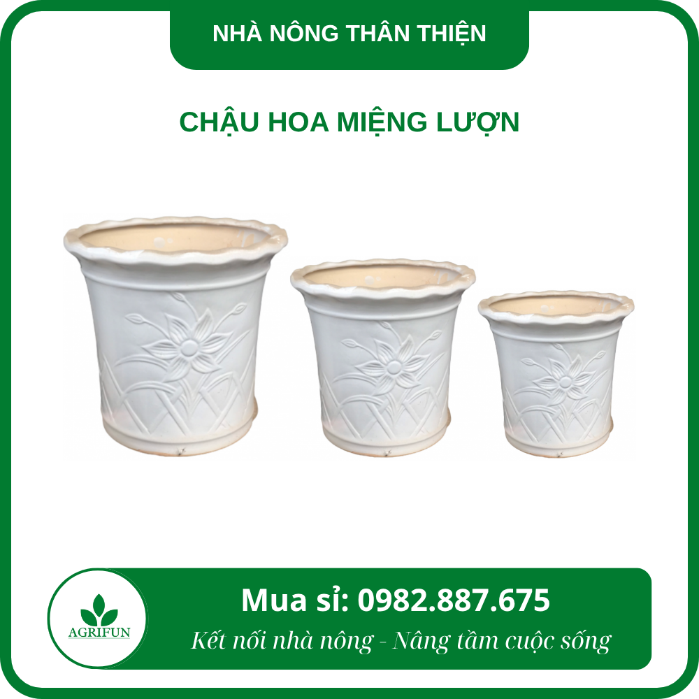 chau-hoa-mieng-luon chậu hoa miệng lượn