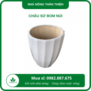 Chậu sứ bom núi