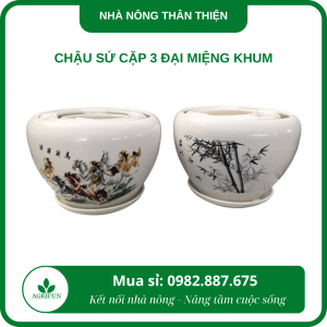 Chậu sứ cặp 3 đại miệng khum