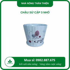 Chậu sứ cặp 3 nhỏ