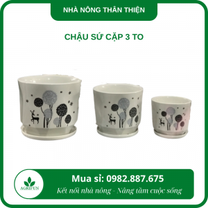 Chậu sứ cặp 3 to