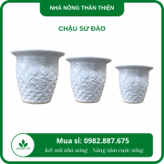 Chậu sứ đào