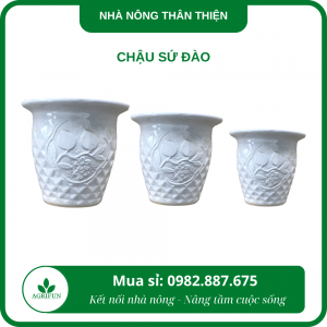 Chậu sứ đào