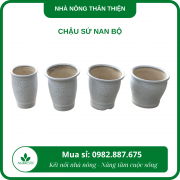 Chậu sứ nan