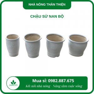 Chậu sứ nan