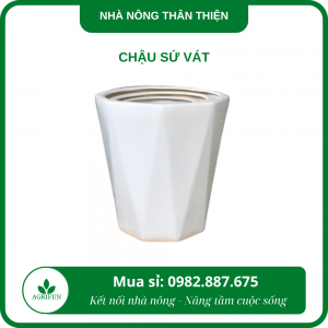 Chậu sứ vát