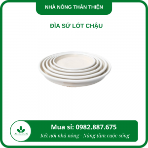 đĩa sứ lót chậu