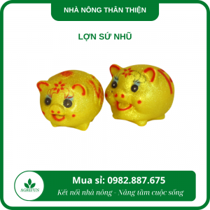 lợn sứ nhũ