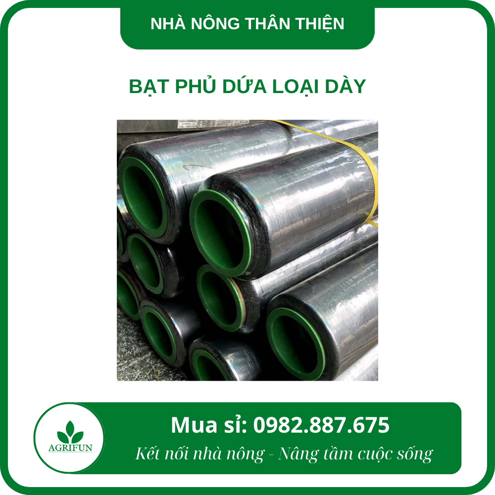 bat-phu-dua-loai-day