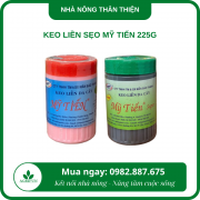 Keo liền sẹo Mỹ Tiến 225g