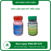 Keo liền sẹo Mỹ Tiến 100g
