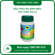 Đầu trâu 501 Bình Điền - Nảy chồi, ra lá